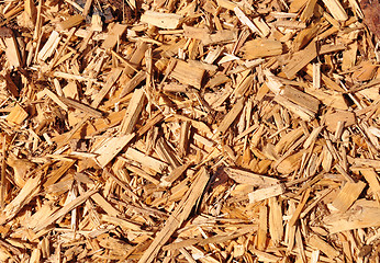Image showing Wood chips
