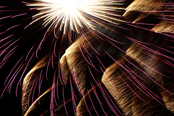 Image showing Fireworks 6