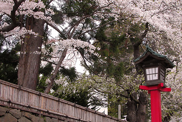 Image showing Japanese lantern in spring