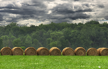 Image showing Hay bails in a field 