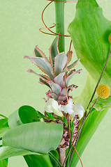 Image showing decorating pineapple