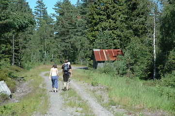 Image showing Couple walking in the wood