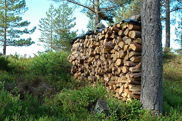 Image showing Stacked firewood