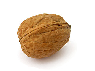 Image showing walnut