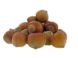Image showing hazel nuts   
