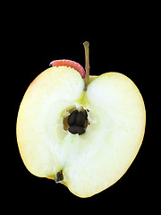 Image showing worm on apple