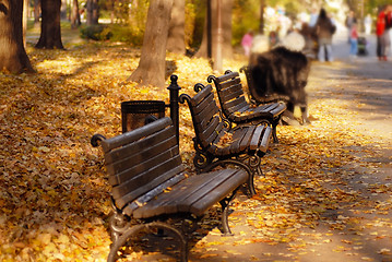 Image showing Autumn park