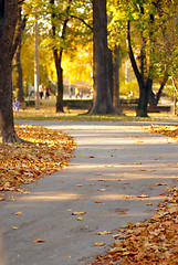 Image showing Autumn park