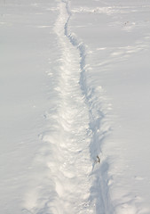 Image showing Traces on snow