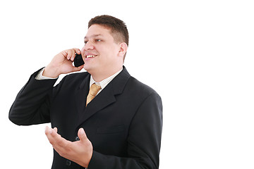 Image showing Business man talking on the phone isolated over white 