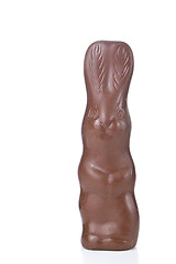 Image showing easter bunny 