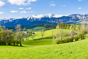 Image showing alpine landscape