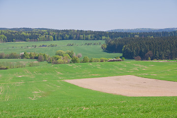 Image showing grassland in the springtime