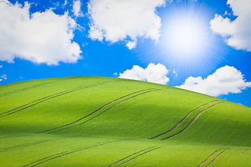 Image showing green field