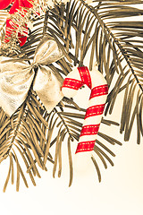 Image showing Christmas branch 