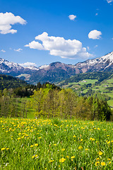 Image showing alpine landscape