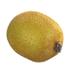 Image showing kiwi