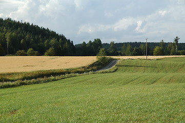 Image showing Roling fields in Eastern Norway