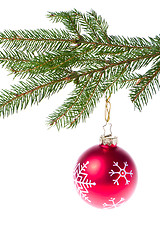 Image showing red ball hanging from spruce christmas tree