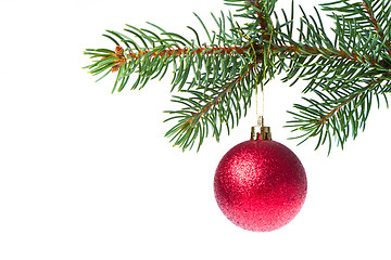 Image showing christmas ball on branch