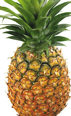 Image showing pineapple