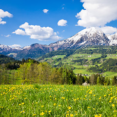 Image showing alpine landscape