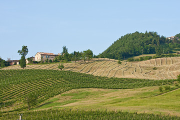 Image showing Typical Tuscan landscape