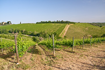 Image showing Typical Tuscan landscape