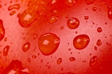 Image showing tomato closeup