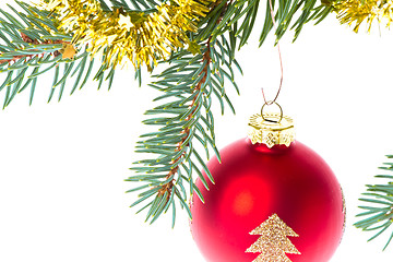 Image showing red christmas ball on branch