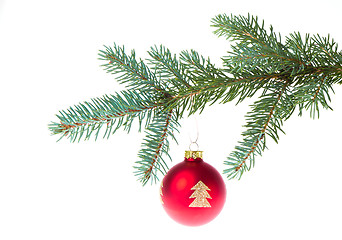 Image showing red christmas ball on branch