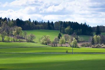 Image showing green field