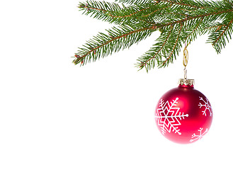 Image showing red ball hanging from spruce christmas tree