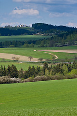 Image showing green field