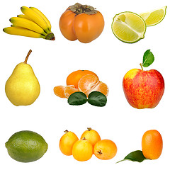 Image showing fruit set