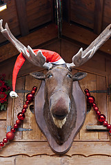 Image showing Christmas Moose