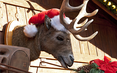 Image showing Christmas Moose