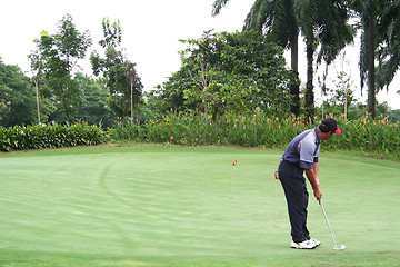 Image showing Tropical golf