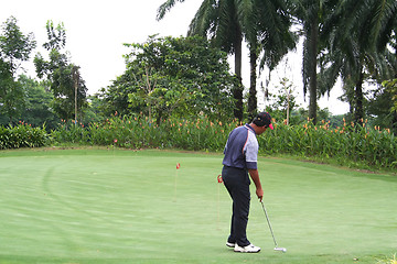 Image showing Tropical golf