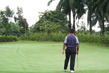 Image showing Tropical golf