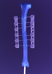 Image showing Human bone foto in research center lab