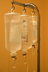 Image showing Infusion bottles hanging on metal holder