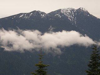 Image showing Grouse Mountain