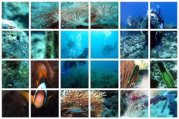 Image showing Fabulous underwater collage