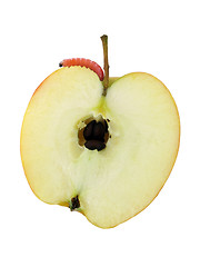 Image showing worm on apple