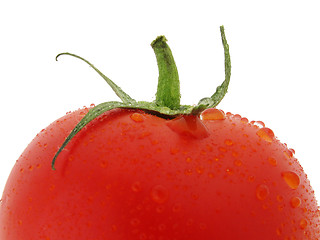 Image showing top of wet tomato