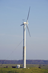 Image showing Rotating windmill and cows. Wind renewable energy.