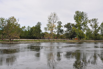 Image showing Swamp