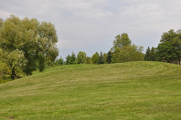 Image showing Greenery