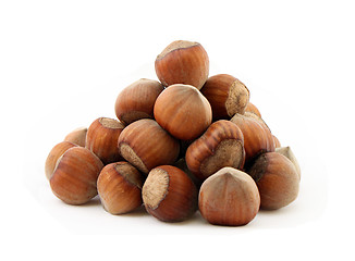 Image showing hazelnuts